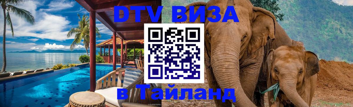 Сколько стоит DTV виза — актуальные цены, оформление даже без документов - 04.10.2025 